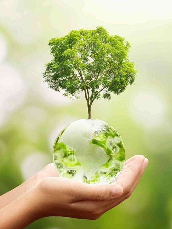 hand holding glass globe ball with tree growing and green nature background. eco environment concept